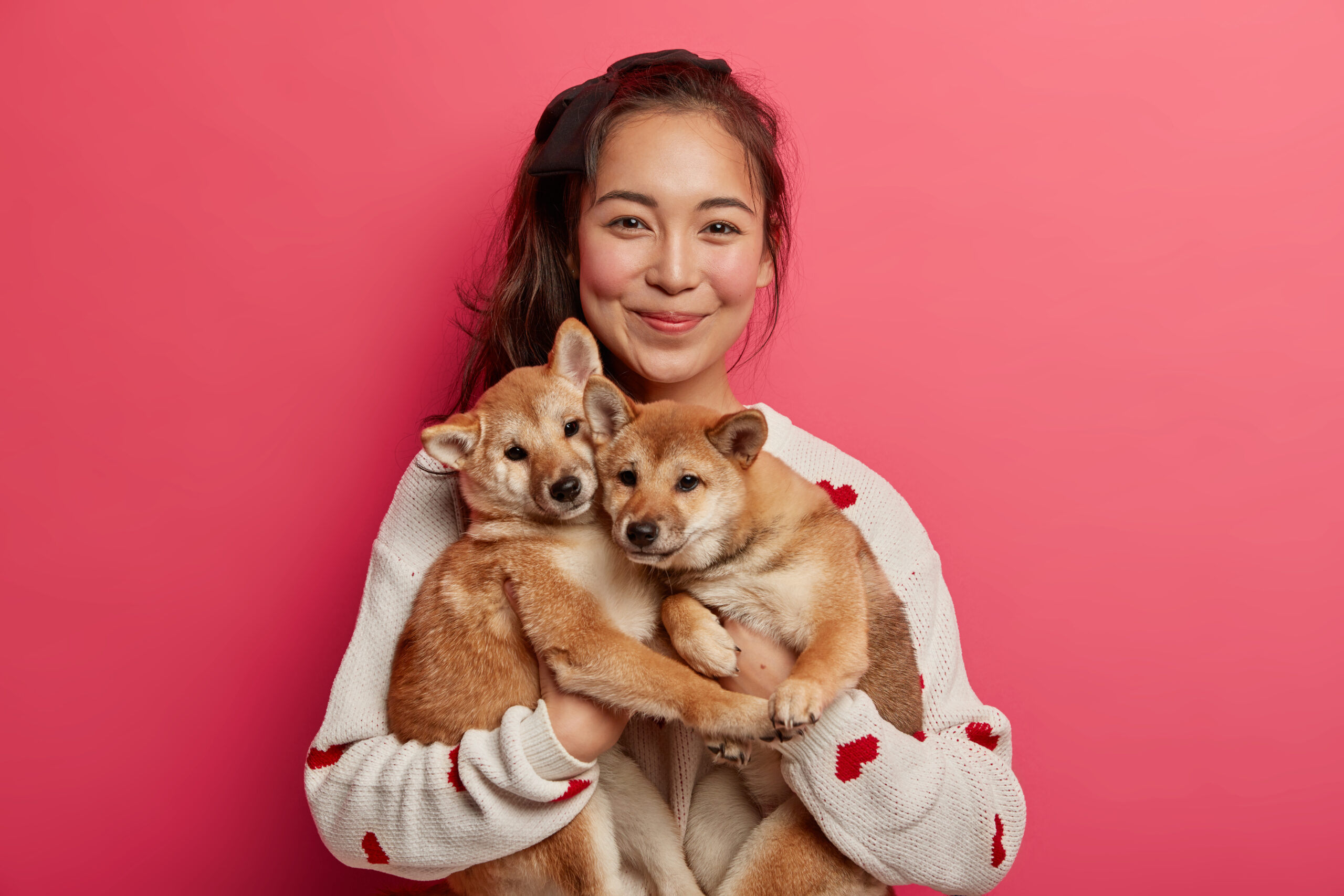 new dog owners