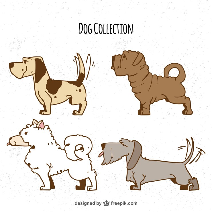 Does a Wagging Tail always mean a Happy Dog?