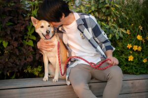 dog ownership, Getting a dog