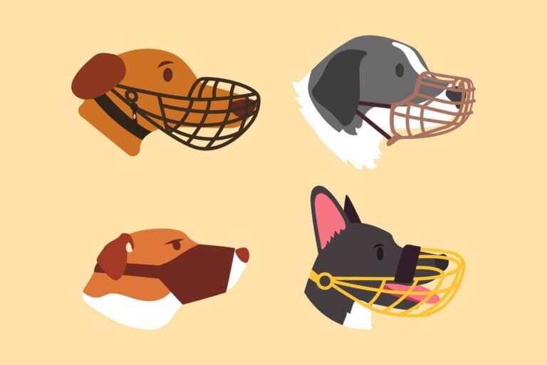 Muzzles Aren’t Always About Aggression: Here’s Why