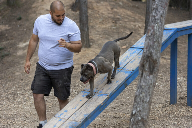 DOG AGILITY TRAINING – SPEED AND SKILL