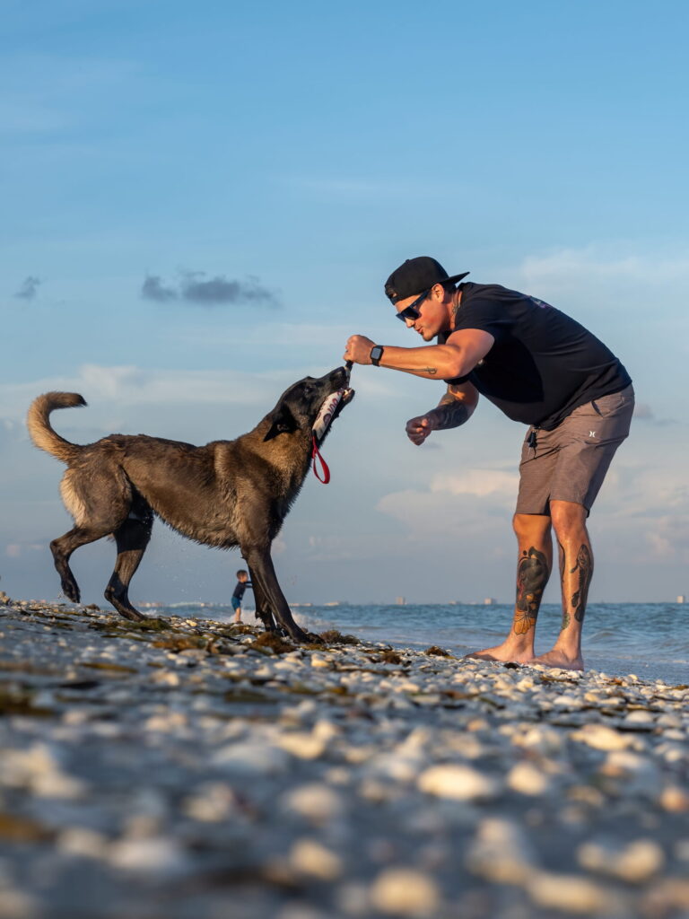 Dirk — Off Leash K9 Training of Naples