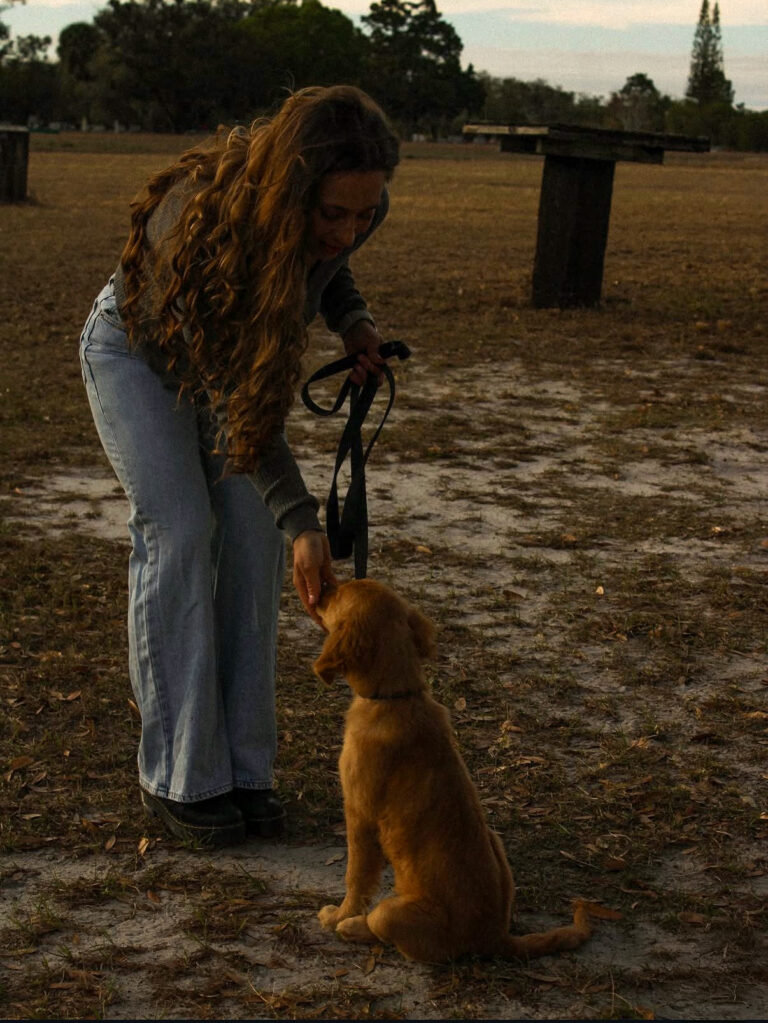 Maddy — Off Leash K9 Training of Naples