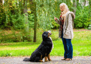 How Your Daily Routine Shapes Your Dog’s Behavior